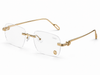 Clear Carti Glasses